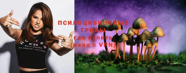 СК Аркадак