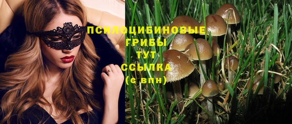 мдпв Арсеньев