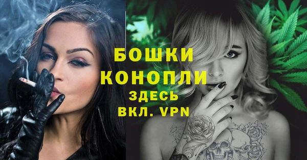 СК Аркадак