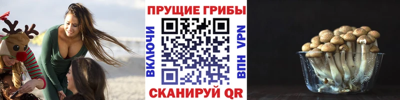 купить закладку  Чудово  площадка какой сайт  Псилоцибиновые грибы Magic Shrooms 